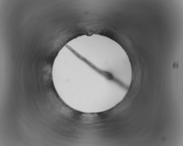 X0000112200480200909041321