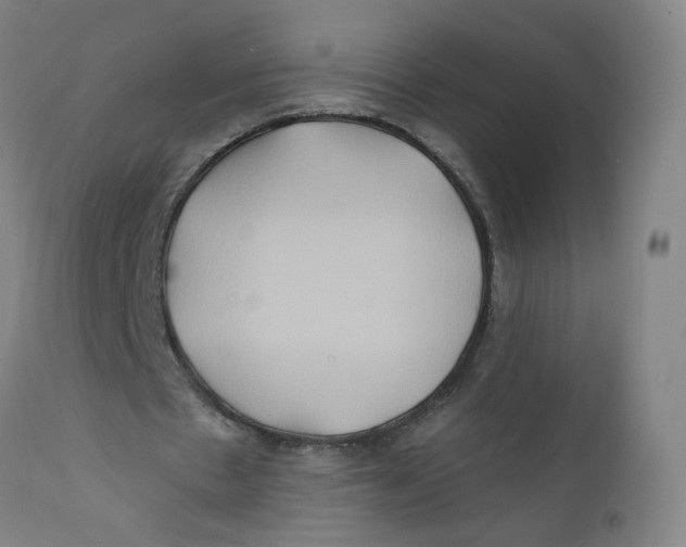 X0000112200481200909041321