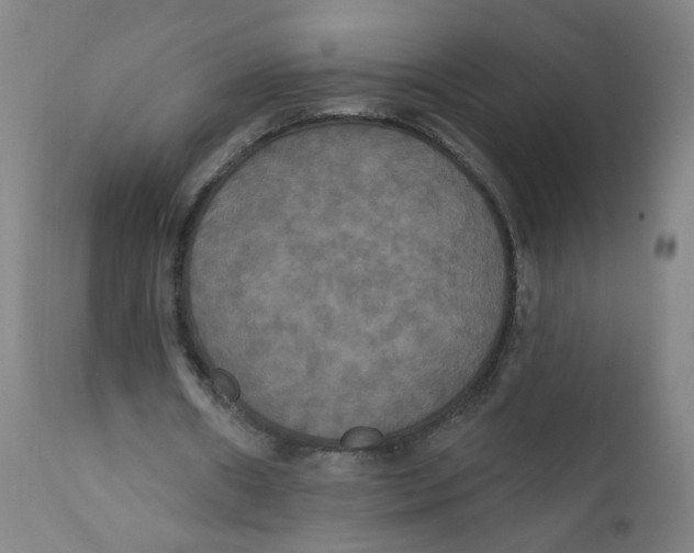 X0000112200482200909041321