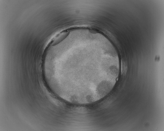 X0000112200483200909041321