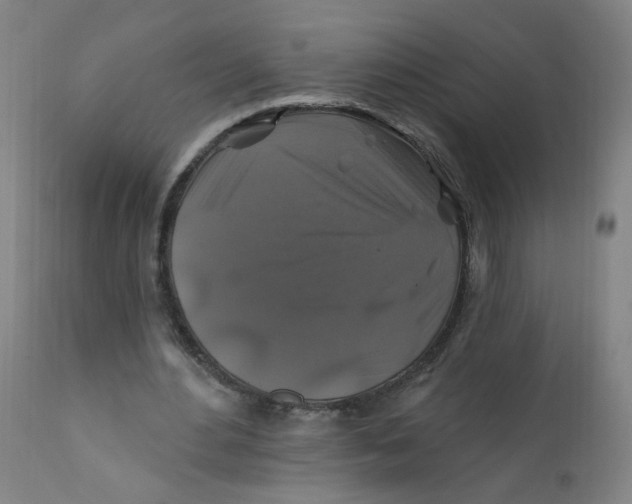X0000112200484200909041321