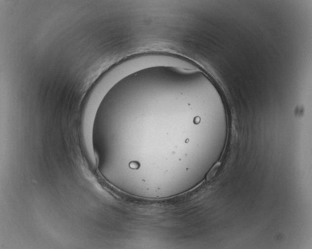 X0000112200485200909041321