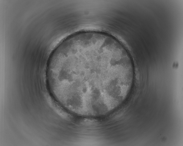 X0000112200487200909041321