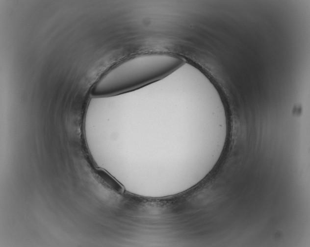 X0000112200489200909041321