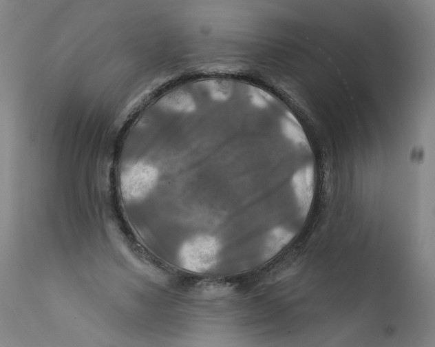X0000112200491200909041321