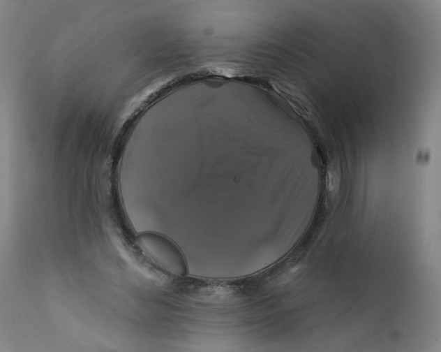 X0000112200492200909041321