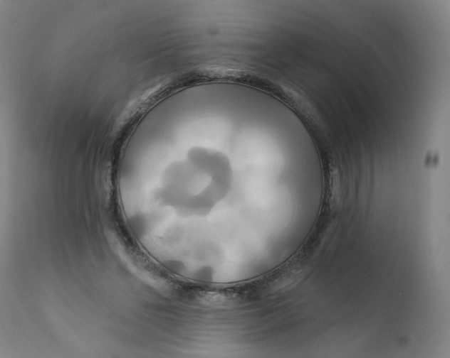 X0000112200494200909041321