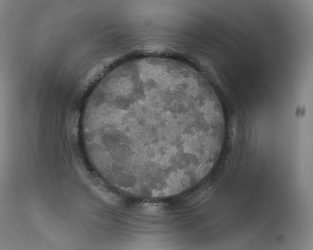 X0000112200495200909041321