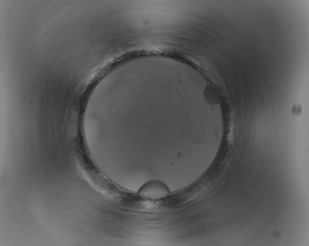 X0000112200496200909041320