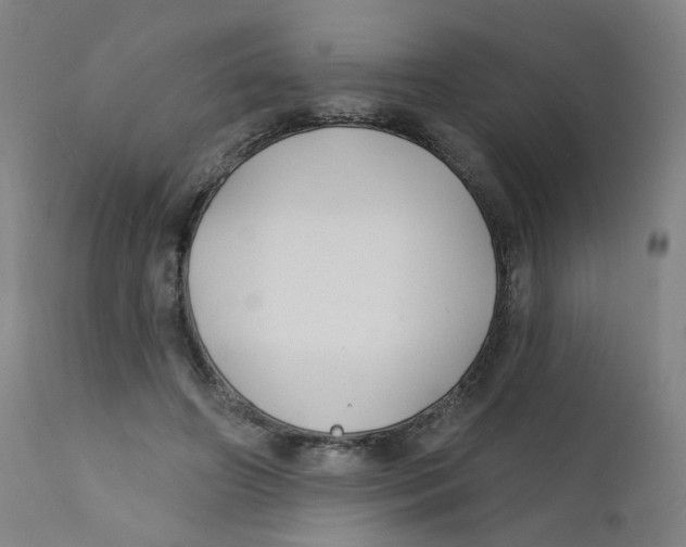 X0000112200498200909041320