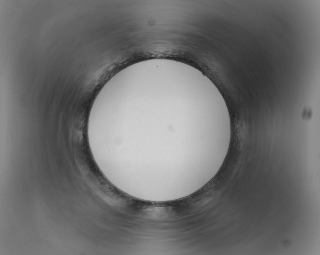 X0000112200499200909041320