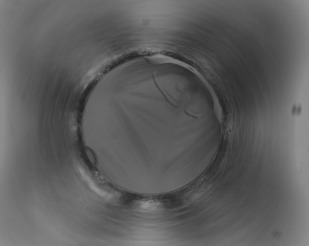 X0000112200500200909041320