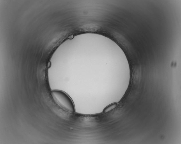 X0000112200501200909041320