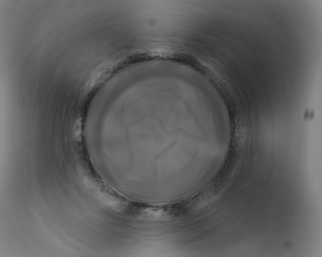 X0000112200502200909041320