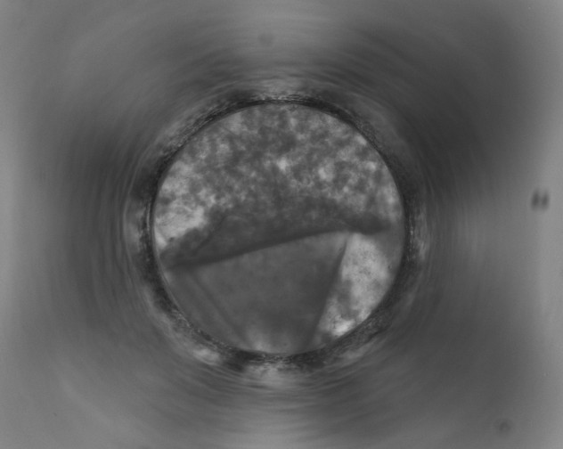 X0000112200503200909041320