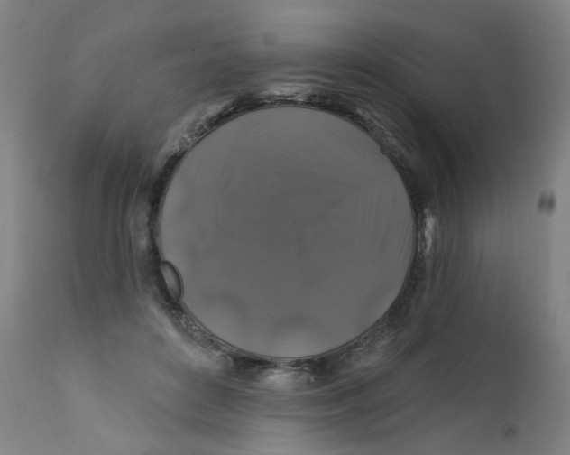 X0000112200504200909041320