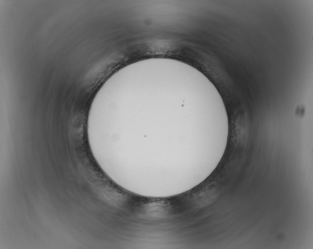 X0000112200505200909041320