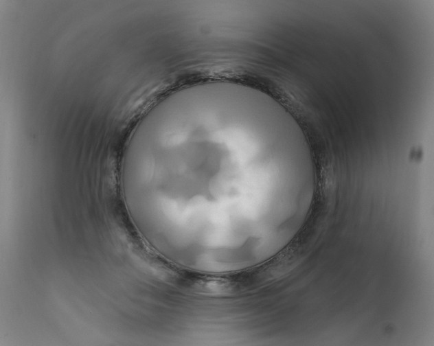 X0000112200506200909041320