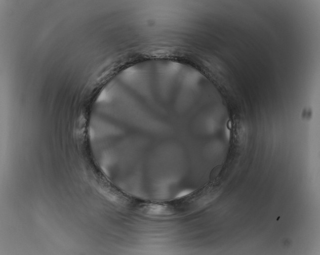 X0000112200507200909041320
