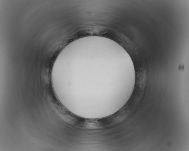 X0000112200510200909041320