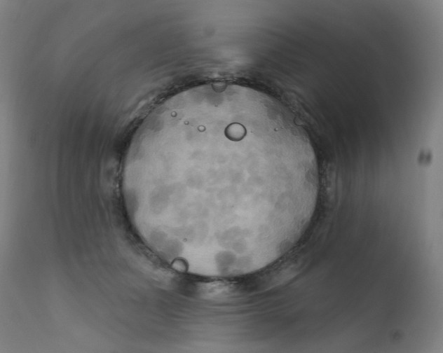 X0000112200511200909041320