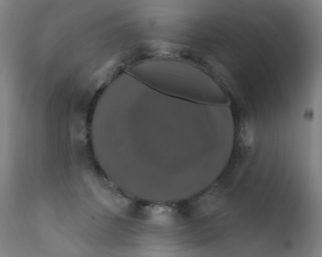 X0000112200512200909041320