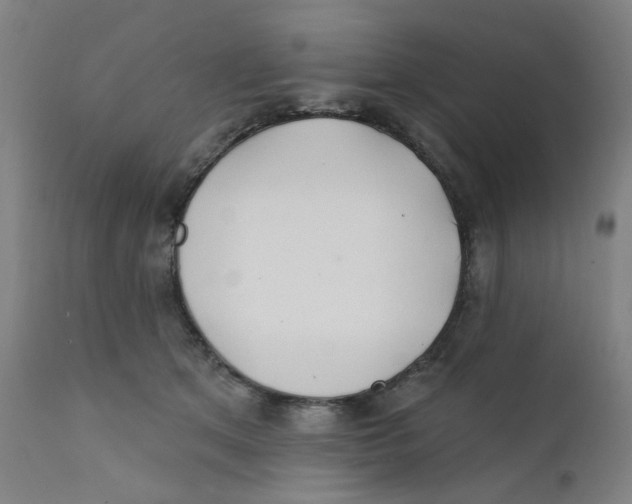 X0000112200513200909041320
