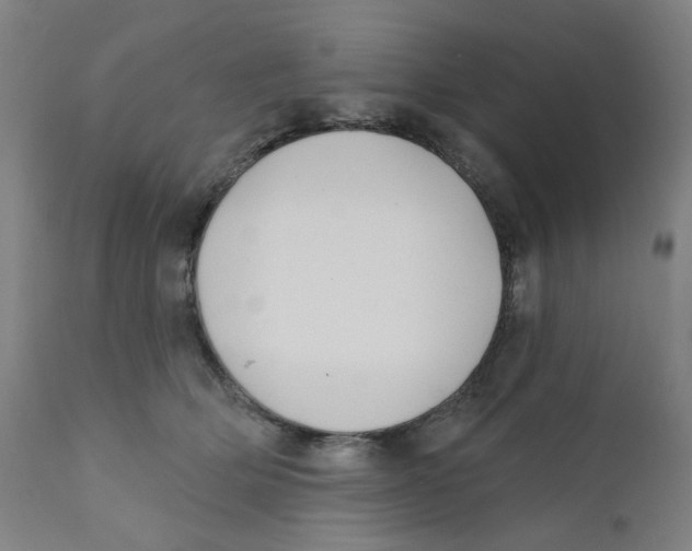 X0000112200514200909041320