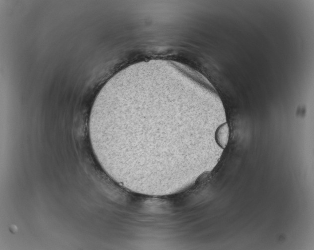 X0000112200515200909041320