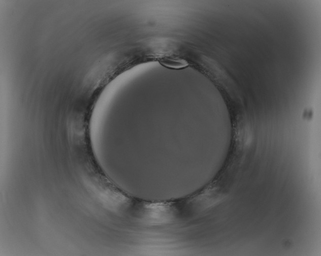 X0000112200516200909041320