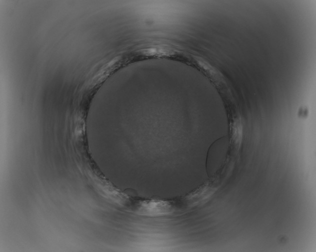 X0000112200517200909041320