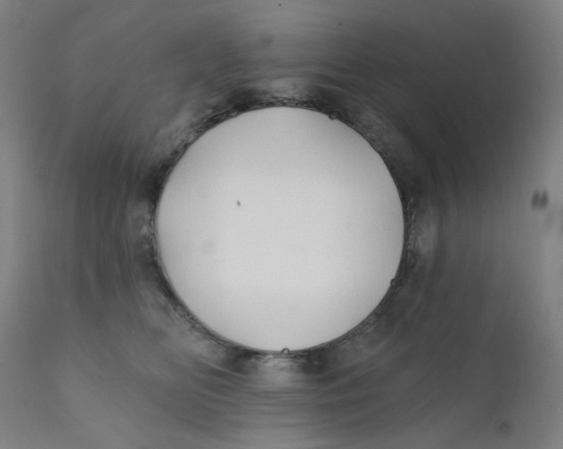 X0000112200518200909041320