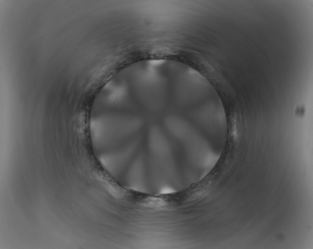 X0000112200519200909041320