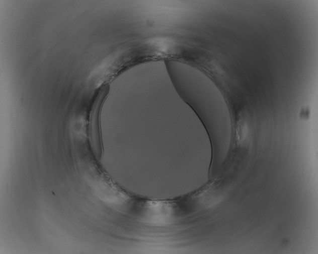 X0000112200520200909041320