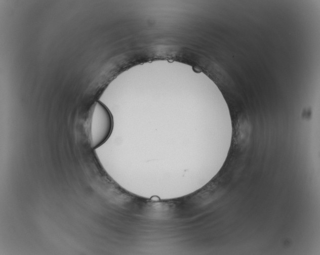 X0000112200522200909041320