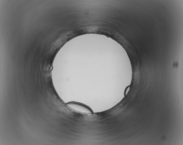 X0000112200525200909041320