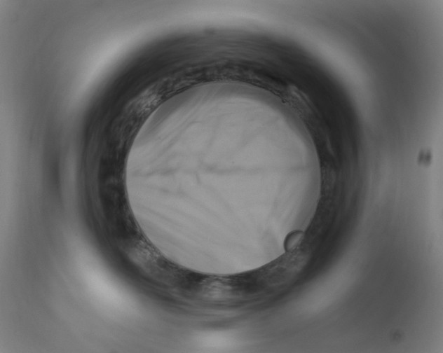 X0000112200526200909041320