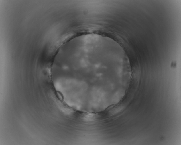X0000112200527200909041320