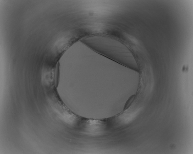X0000112200528200909041320