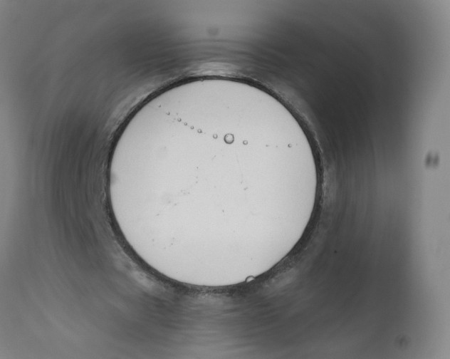 X0000112200529200909041319
