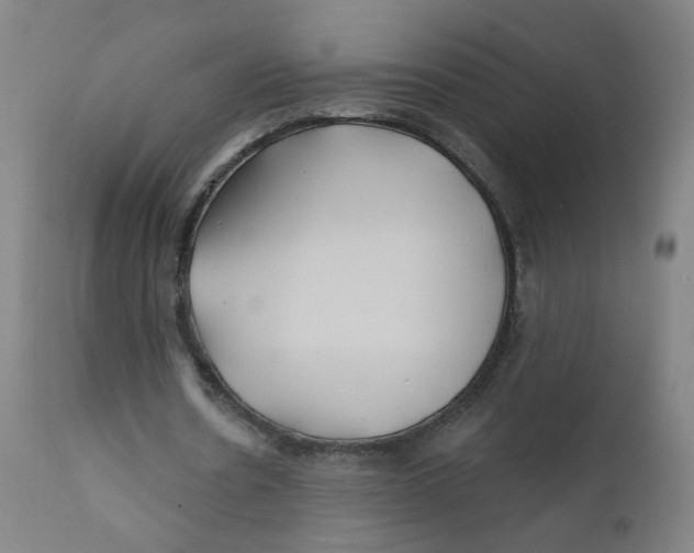 X0000112200530200909041319
