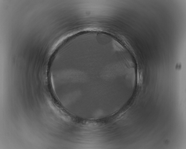 X0000112200531200909041319