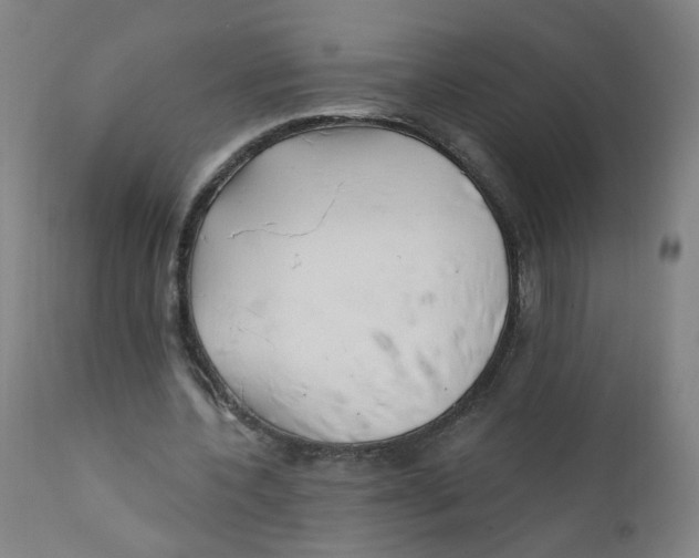 X0000112200532200909041319