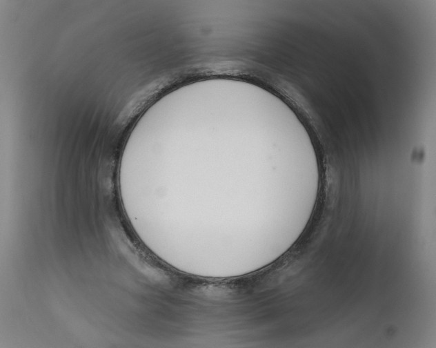 X0000112200537200909041319