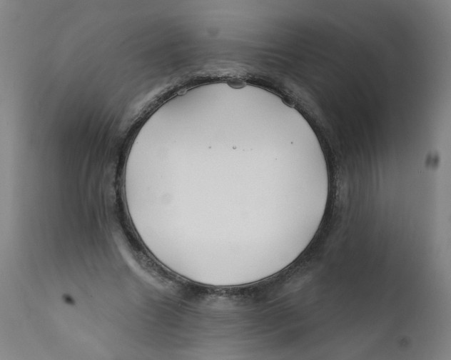 X0000112200538200909041319