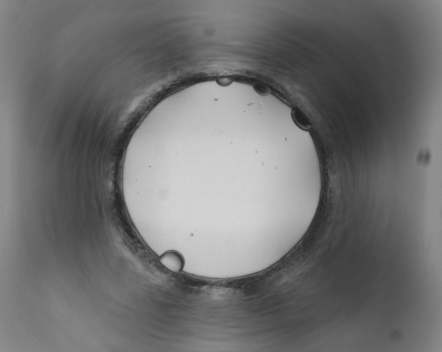 X0000112200539200909041319