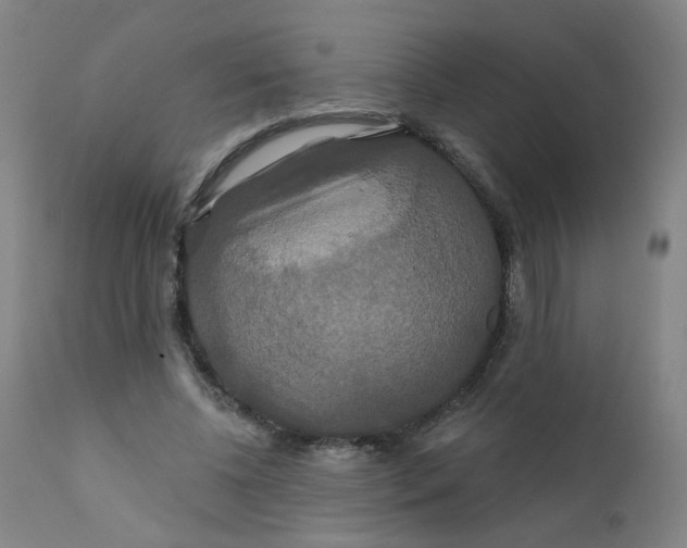 X0000112200540200909041319