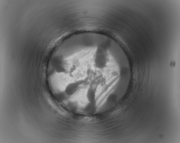 X0000112200542200909041319