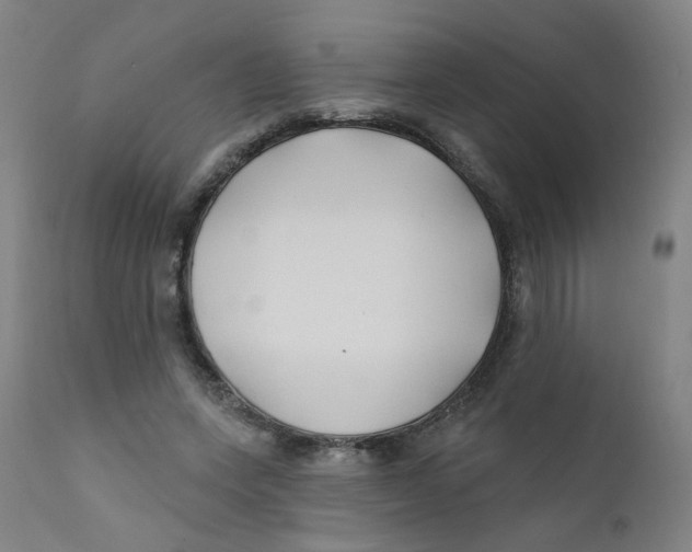 X0000112200543200909041319