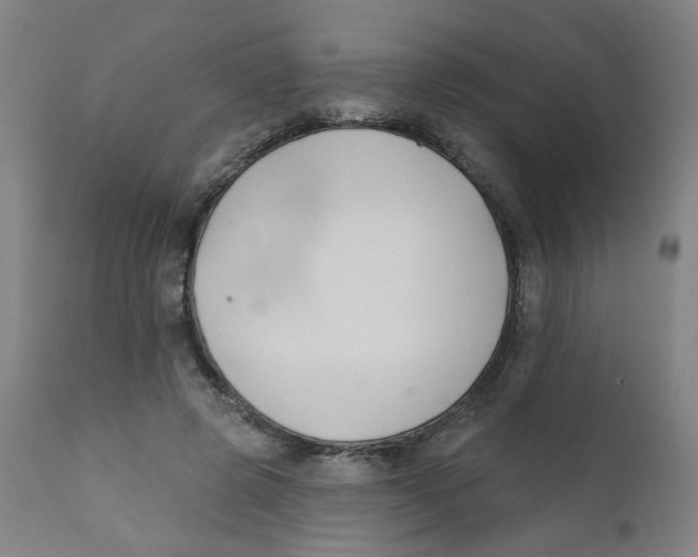 X0000112200545200909041319